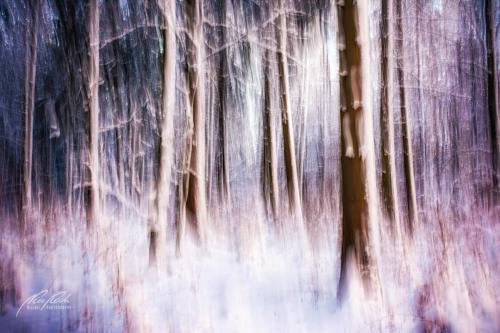 FTK412-4447-Winterzauberwald