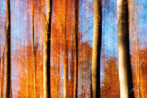 FTK511-3022-Herbstliche-Waldbaeume-abstrakt