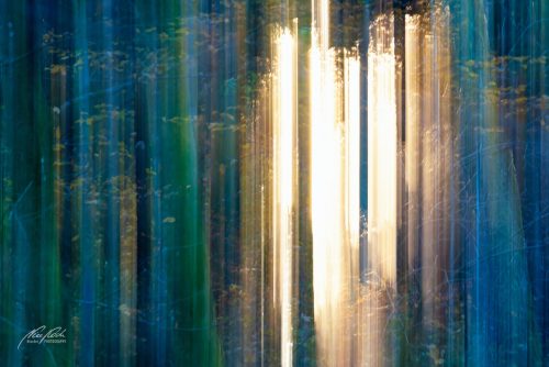 FTK511-3090-Wald-im-Zauber-des-Lichts-abstrakt