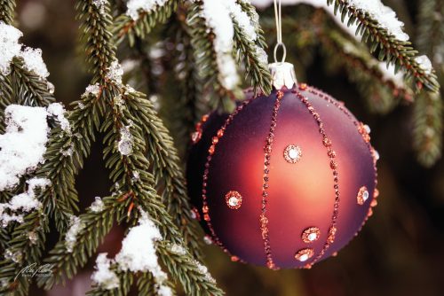 FTK601-6973-Weihnachtskugel-im-Tannenbaum-mit-Schnee