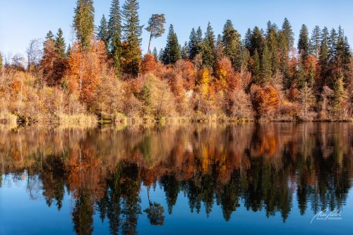 LBK710-9383-Herbstliche-Farbenpracht-beim-Crestasee