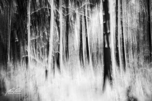 SWK412-4447-Winterzauberwald-sw