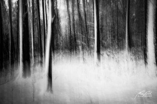 SWK412-4448-Wintermaerchenwald-sw