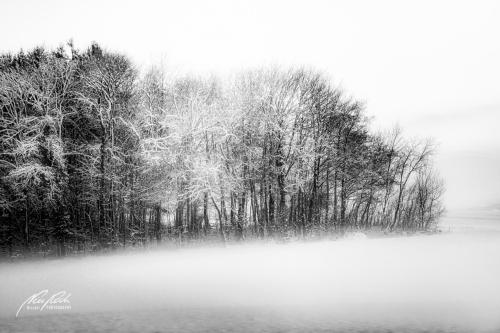 SWK412-4470-Winterwald-im-Abendlicht-sw