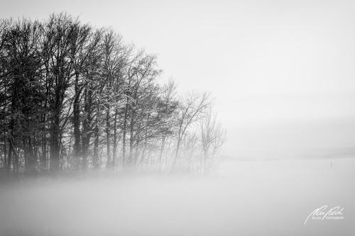 SWK412-4477-Winterwald-im-Abendnebel-sw