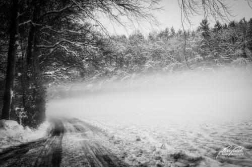 SWK412-4482-Nebelschwaden-im-Winterwald-sw