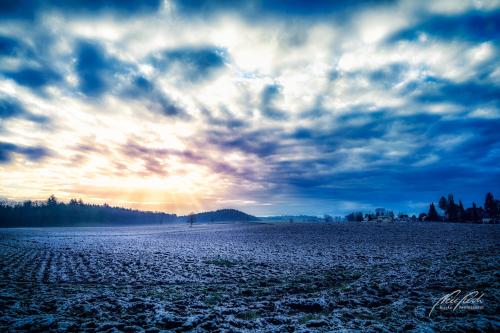 LBU003-05061-Morgensonne-im-Freiamt