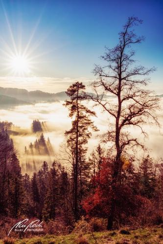 LBU011-09369-Sonnenschein-und-Nebelmeer