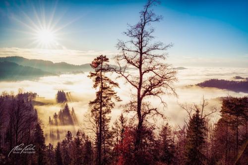 LBU011-09370-Blick-aufs-Nebelmeer