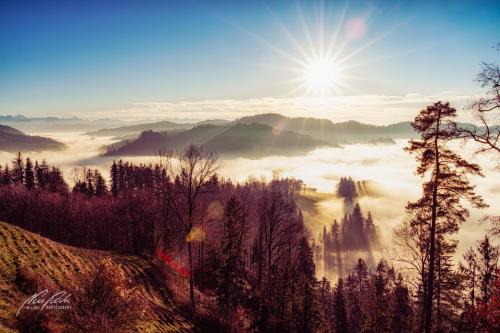 LBU011-09374-Blick-vom-Hoernli-aufs-Nebelmeer