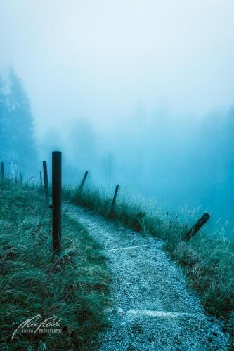 LBU011-09385-Zurueck-in-den-Nebel