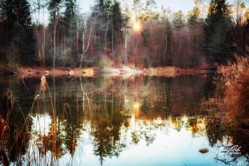LBU012-00172-Abendstimmung-am-Moosweiher