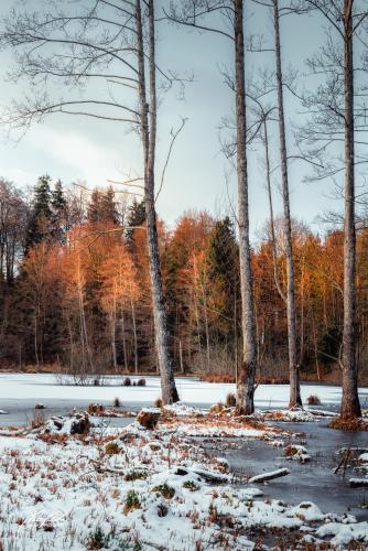 LBU101-00518-Cholmoos-Weiher-im-Winter