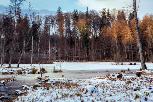 LBU101-00520-Winterstimmung-beim-Cholmoos-Weiher