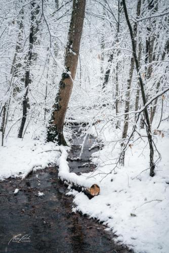 LBU101-00672-Kleiner-Waldbach-im-Schnee