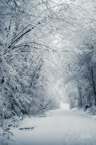 LBU101-00753-Verschneiter-Weg-im-Winterwald