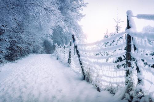 LBU101-00781-Weg-am-Waldrand-vom-Schnee-gekuesst