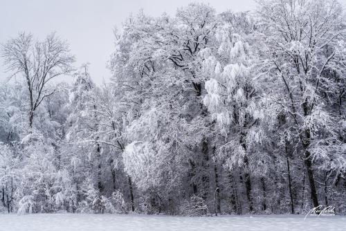 LBU101-00840-Wintermaerchen