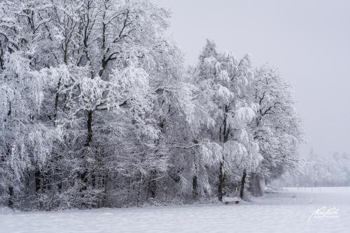 LBU101-00841-Winterpoesie