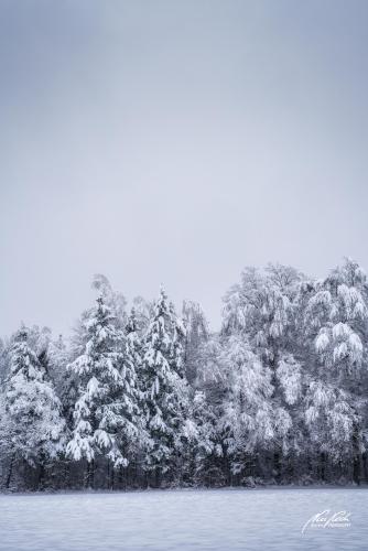 LBU101-00845-Malerischer-Winterwald