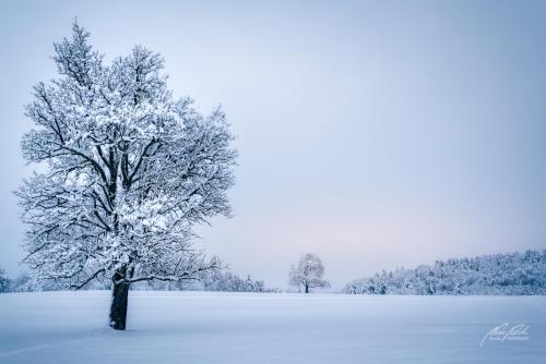 LBU101-00850-Bezaubernde-Winterlandschaft