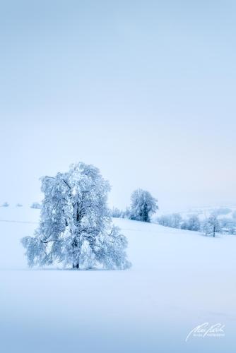 LBU101-00868-Die-Stille-des-Winters