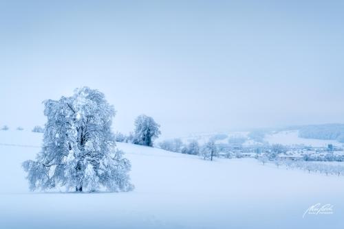 LBU101-00869-Als-der-grosse-Schnee-kam