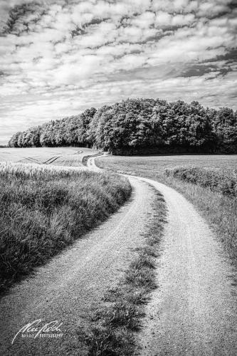 SWU005-06276-Geschlaengelter-Weg-zum-Wald-sw