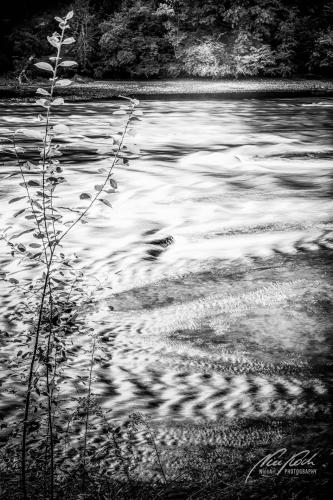 SWU009-08427-Fluss-im-Spiel-von-Licht-und-Schatten-sw