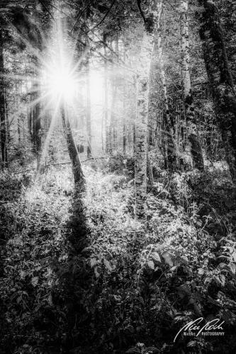 SWU010-08706-Von-der-Sonne-gekuesst-sw