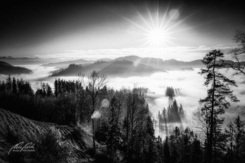 SWU011-09374-Blick-vom-Hoernli-aufs-Nebelmeer-sw