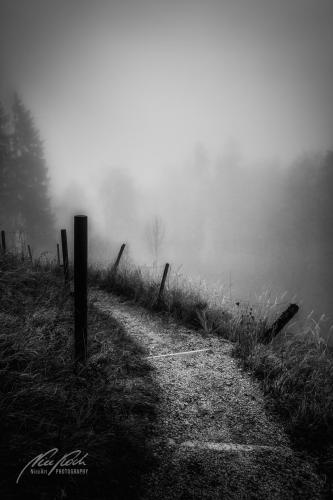SWU011-09385-Zurueck-in-den-Nebel-sw