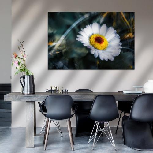 BPK503-5086-Art-Heroes-1524608-Gaensebluemchen-traeumt-vom-Fruehling