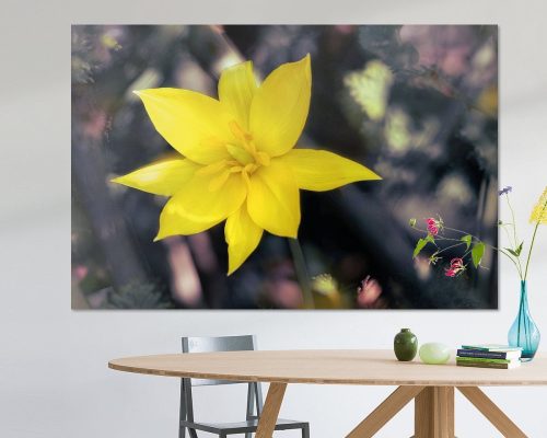 001 Blumen & Pflanzen