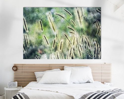 FTK308-3995-1157458-Grasrispen-im-Sonnenschein