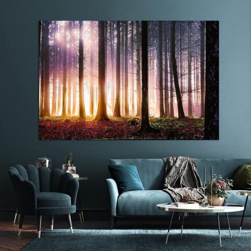 LBK211-0813-Art-Heroes-445120-Wald-im-strahlenden-Licht-Nicc-Koch