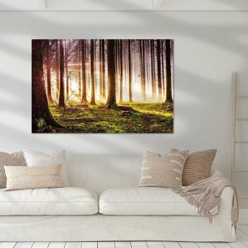 LBK211-0815-Art-Heroes-445122-Herbstwald-im-Sonnenschein-Nicc-Koch