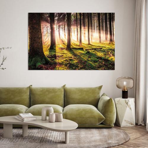 LBK211-0824-Art-Heroes-445119-Herbstwald-in-der-Abendsonne-Nicc-Koch