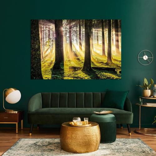 LBK211-0826-Art-Heroes-765389-Herbstwald-in-der-Magie-des-Lichts-Nicc-Koch
