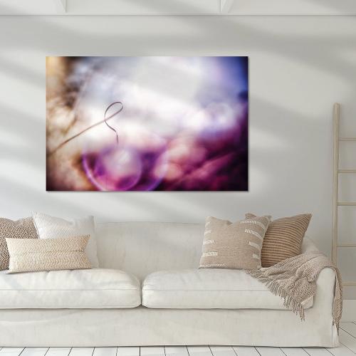 BGK811-03823-1499758-Ziergrasblatt-mit-Lensflares