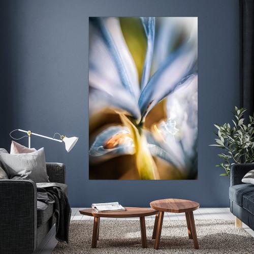 BPK803-9643-1624032-Irisblueten-im-Licht-Nicc-Koch