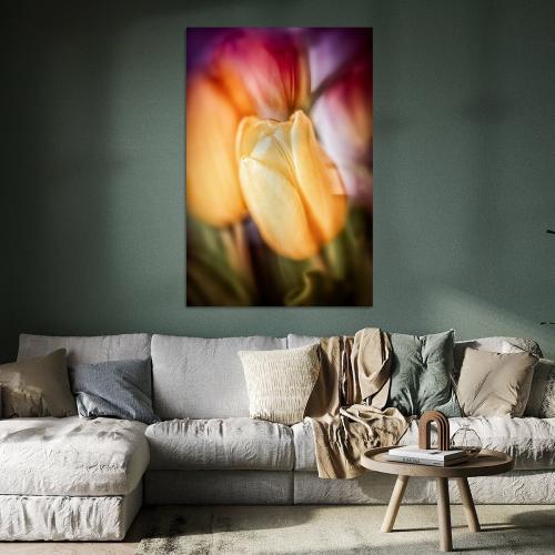 BPK803-9723-Art-Heroes-457850-Geheimnisvolle-Tulpenblten