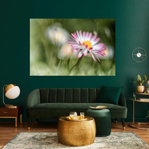 BPK804-0391-Art-Heroes-464507-Gnseblmchen-im-strahlenden-Licht