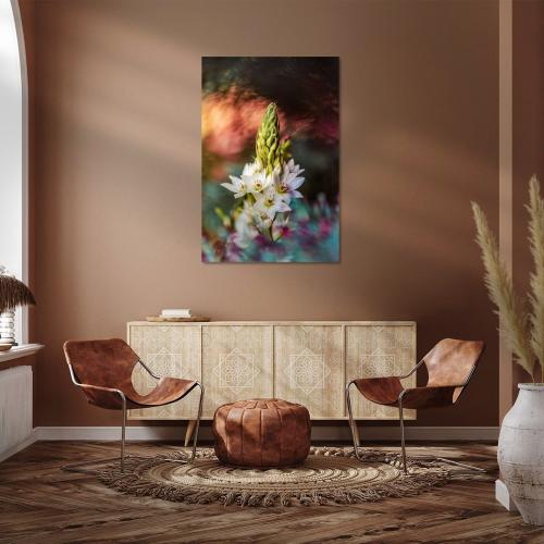 BPK804-0480-Art-Heroes-464506-Weisser-Milchstern-inmitten-von-Farben