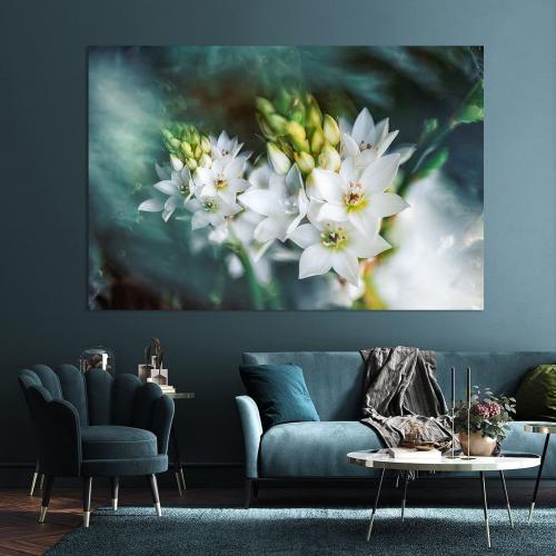 BPK804-0496-Art-Heroes-1167759-Mystischer-Milchstern