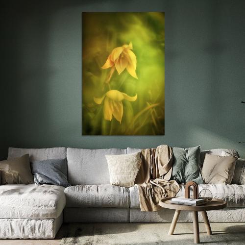 BPK804-0603-Art-Heroes-1169067-Duftende-Weinbergtulpe