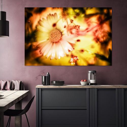 BPK804-0889-Art-Heroes-1168977-Gnseblmchen-im-Licht