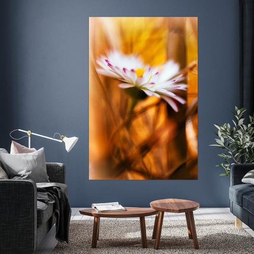 BPK804-0934-Art-Heroes-1168980-Gnseblmchen-im-Stroh