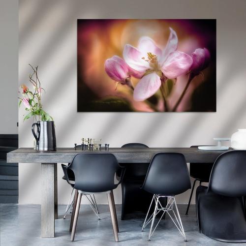 BPK804-1024-Art-Heroes-1169080-Apfelblte-im-Sonnenlicht