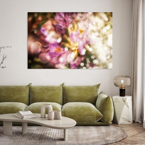 BPK805-2076-1589982-Rhododendron-im-Licht-Nicc-Koch